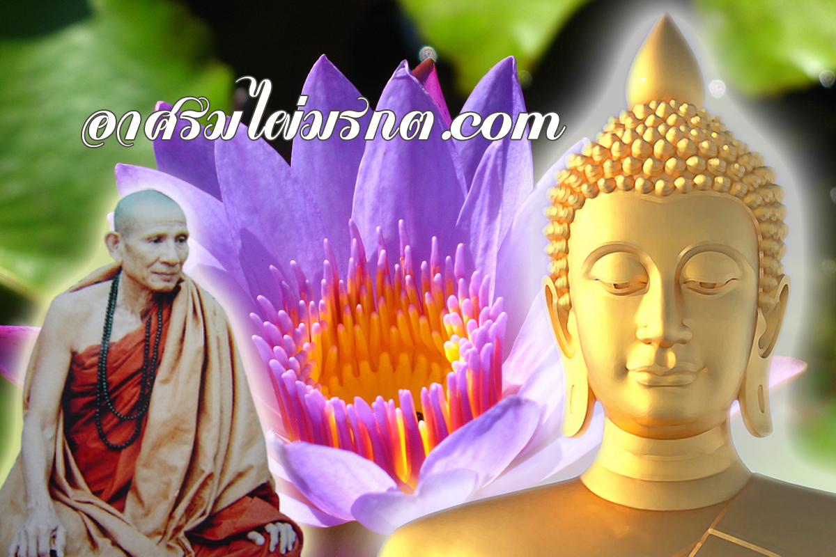 บรรยากาศอาศรมไผ่มรกต