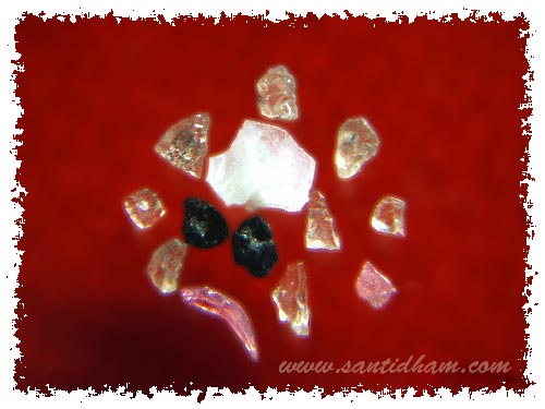 รำลึกถึงพระคุณหลวงปู่ดาบส สุมโน